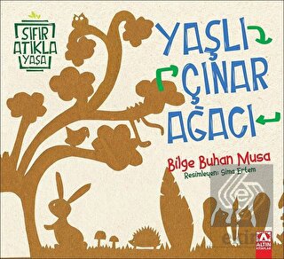 Yaşlı Çınar Ağacı