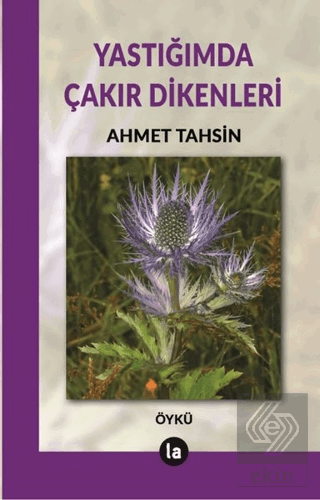 Yastığımda Çakır Dikenleri