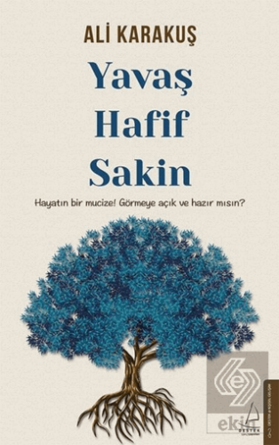 Yavaş Hafif Sakin