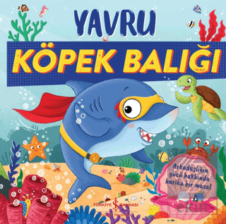 Yavru Köpek Balığı