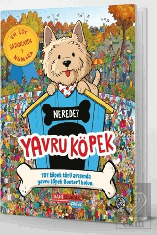 Yavru Köpek Nerede?