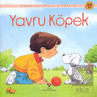 Yavru Köpek