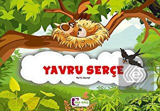 Yavru Serçe