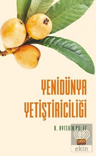 Yenidünya Yetiştiriciliği