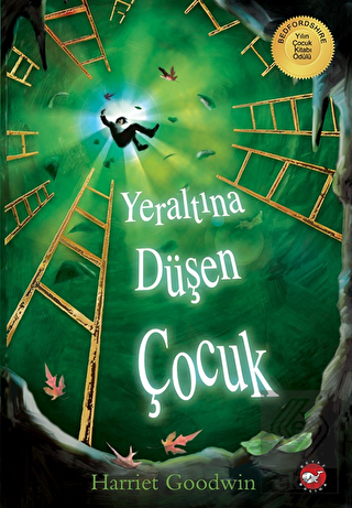 Yeraltına Düşen Çocuk