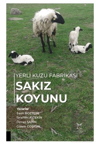 Yerli Kuzu Fabrikası Sakız Koyunu