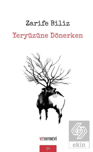 Yeryüzüne Dönerken