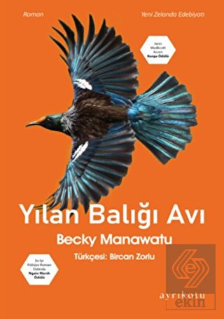 Yılan Balığı Avı