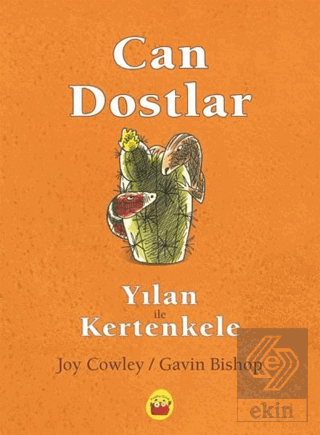 Yılan ile Kertenkele - Can Dostlar