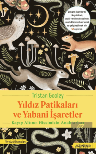 Yıldız Patikaları ve Yabani İşaretler