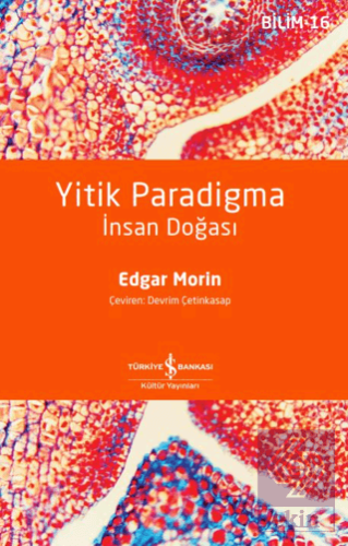 Yitik Paradigma