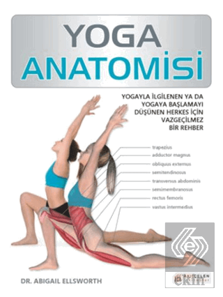 Yoga Anatomisi