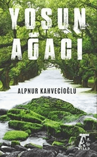 Yosun Ağacı