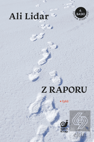 Z Raporu