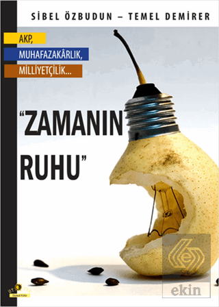 Zamanın Ruhu