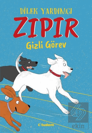 Zıpır Gizli Görev